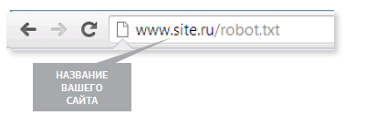 Адрес файла robots.txt