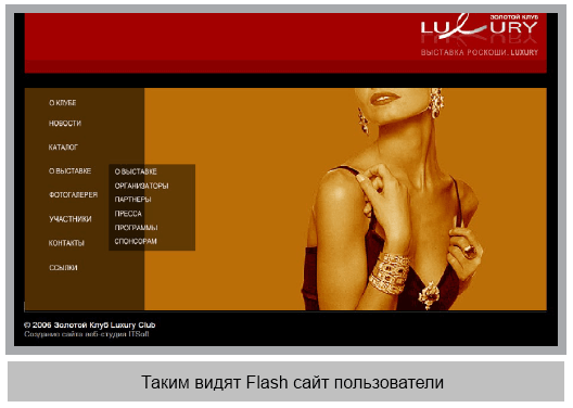 Таким видят Flash сайт пользователи